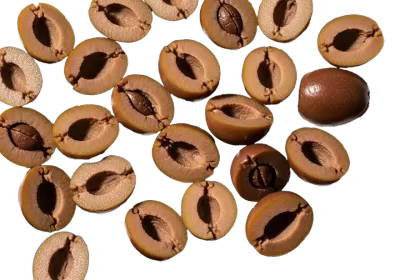 Imagen PNG para descargar